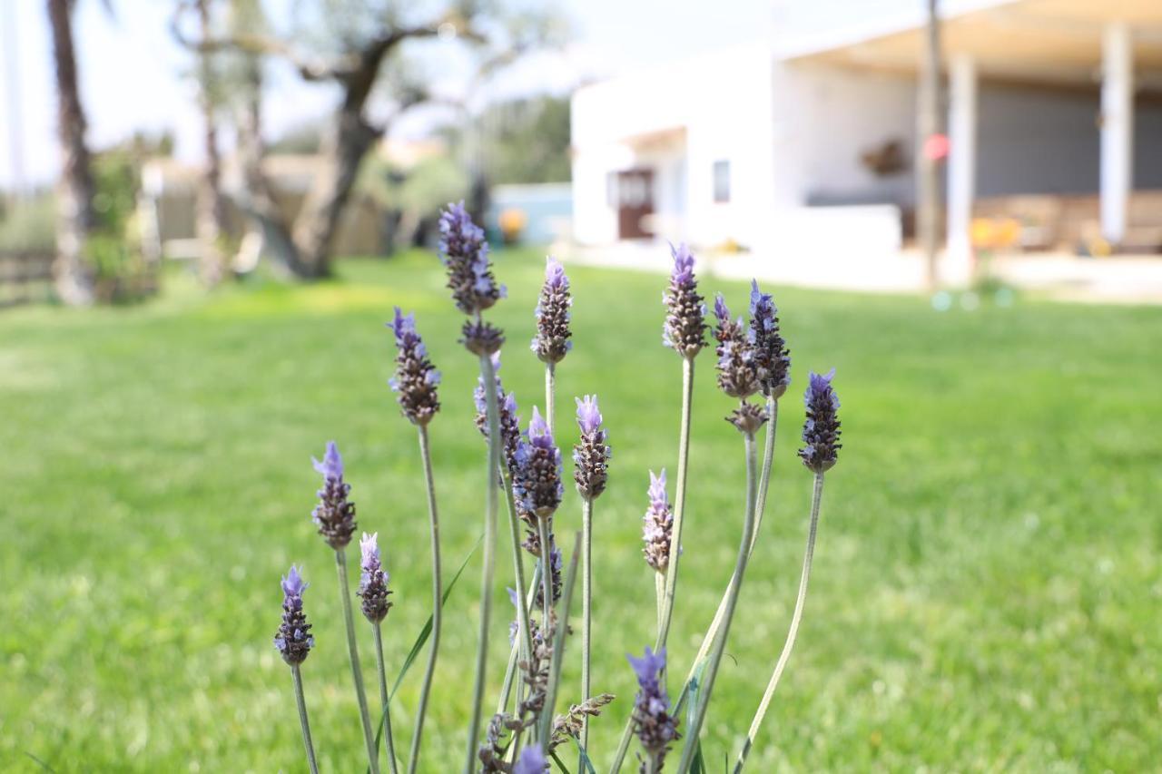 La Finestra Del Delta Guest House ลัมโปยา ภายนอก รูปภาพ